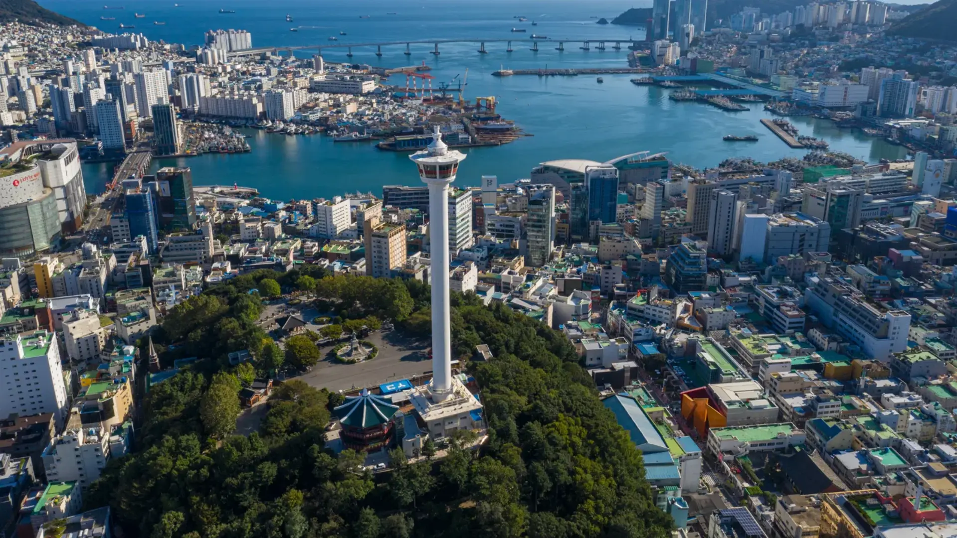 Акции южнокорейских автопроизводителей выросли после подтверждения министром торговли США о снижении пошлин до 15%