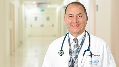 Dr. A. Nadir Tosyalı